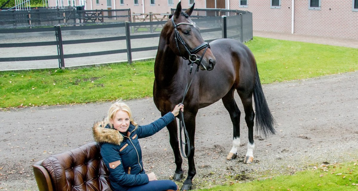 Beoordelen jonge paardenwedstrijd